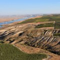 The Laws and Regulations of Labeling for Vineyards in Western Washington