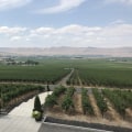The Hidden Gem of Western Washington's Vineyards
