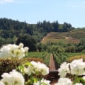 The Fascinating Impact of the Pacific Ocean on Vineyards in Western Washington