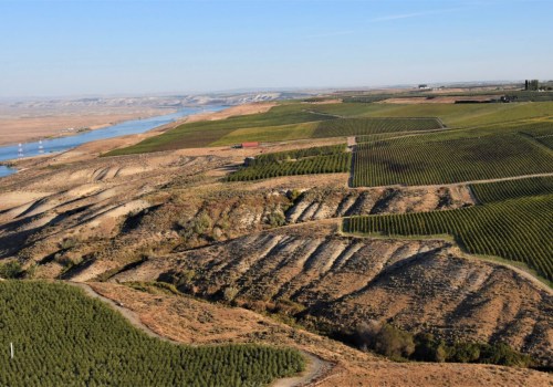 The Laws and Regulations of Labeling for Vineyards in Western Washington