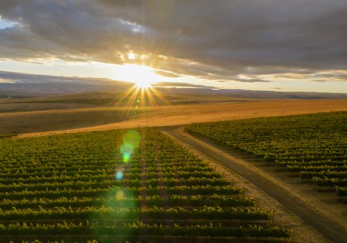 The Topography of Western Washington and its Impact on Grape Production