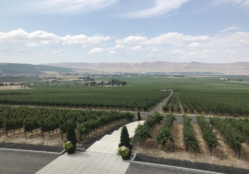 The Hidden Gem of Western Washington's Vineyards