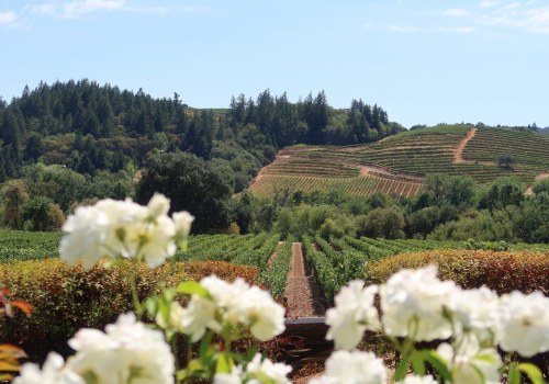 The Fascinating Impact of the Pacific Ocean on Vineyards in Western Washington